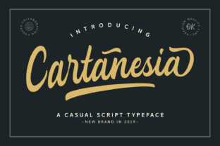Cartanesia: The Bold Handwritten Typeface That Elevates Campaign Visuals