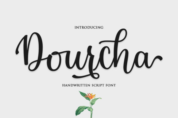 Dourcha: The Modern Script Font for Engaging Web Design