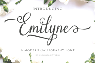 Emilyne: The Perfect Script Font for Elegant Web Design