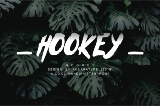 Hookey: A Designer's Verdict on This Script Amp Typeface