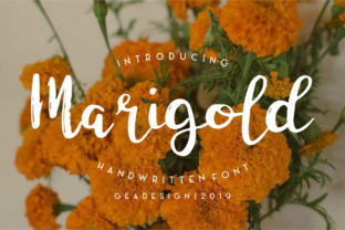Marigold: The Handwritten Font That Elevates Digital Campaigns