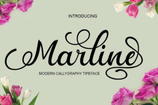 Marline: A Designer's Real-World Review of a Dynamic Script Amp