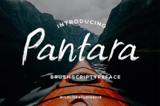 Pantara: A Modern Script Typeface for Bold Campaigns