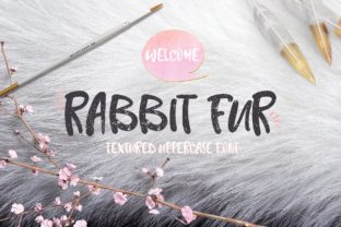 Rabbit Fur: A Premium Script Font for Editorial Design