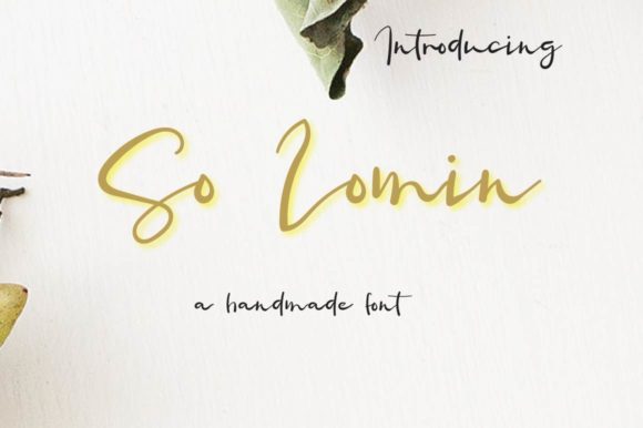 So Lomin: The Handwritten Typeface That Transforms Brand Identity