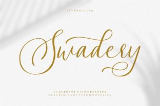 Swadery: A Designer's Honest Review for Real-World Branding