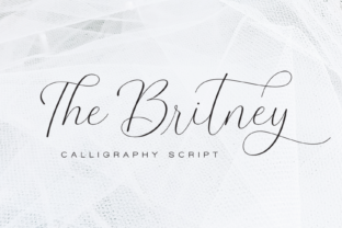 The Britney: A Delicate Script Font for Modern Web Design