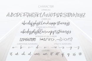 Whitecase: The Handwritten Typeface That Elevates Digital Campaigns